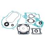 Kit completo juntas motor con retenes aceite Mooseracing KTM SX 50 06-08
