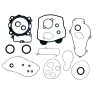 Kit completo juntas motor con retenes aceite Mooseracing KTM SXF- 450 07-12