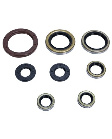 Kit retenes aceite motor Kit retenes aceite motor