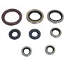 Kit retenes aceite motor Kit retenes aceite motor