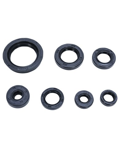Kit retenes aceite motor Kit retenes aceite motor