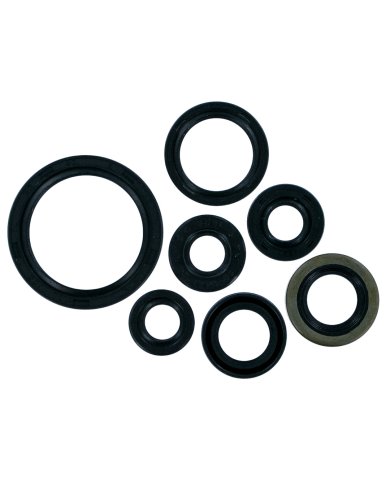 Kit retenes aceite motor Kit retenes aceite motor