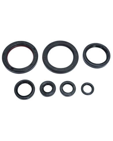 Kit retenes aceite motor Kit retenes aceite motor