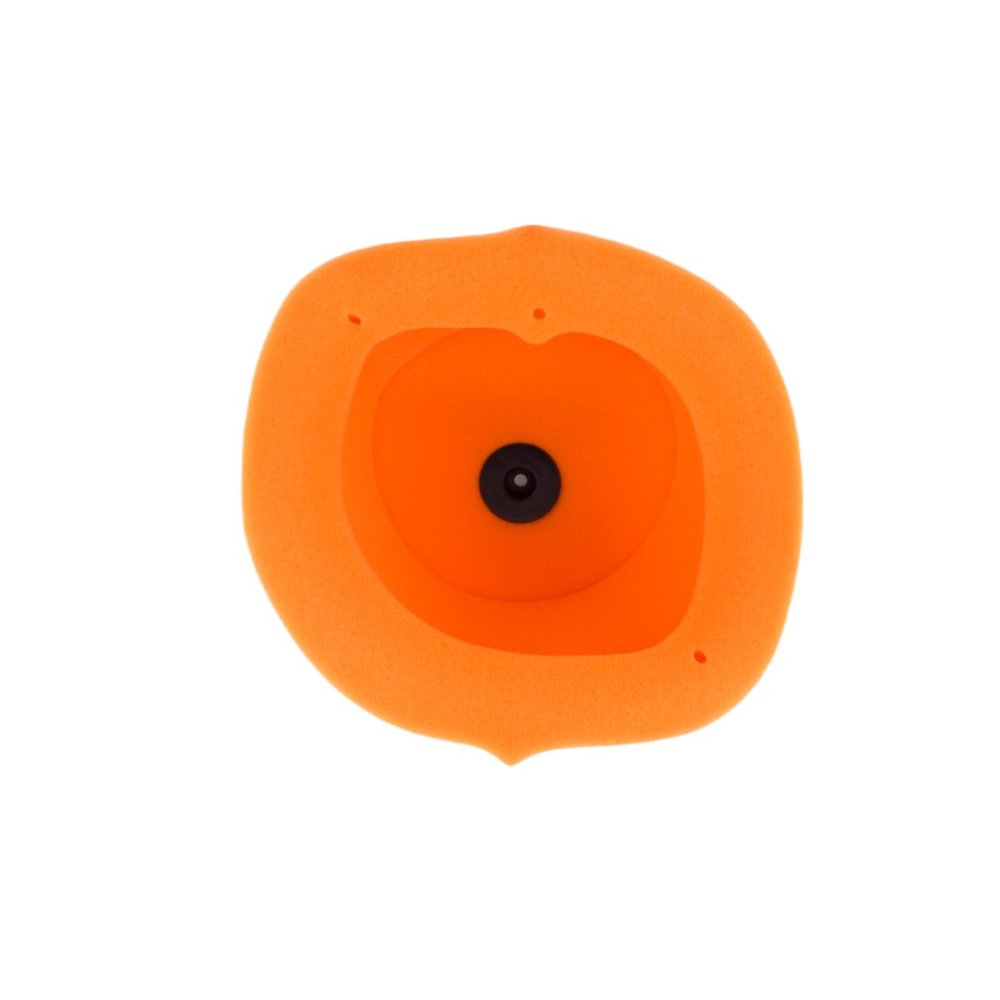 Filtro de aire Twin Air