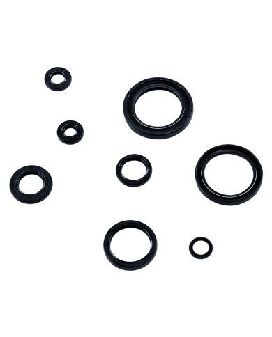 Kit retenes aceite motor