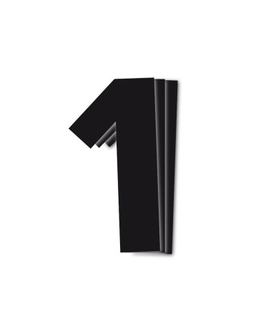 Dorsal 1 ( Pack de 3 Pcs PVC) Blackbird Racing Negro