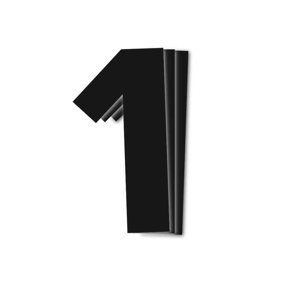 Dorsal 1 ( Pack de 3 Pcs PVC) Blackbird Racing Negro