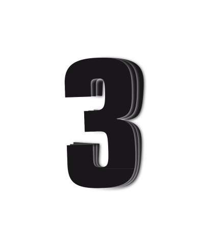 Dorsal 3 ( Pack de 3 Pcs PVC) Blackbird Racing Negro