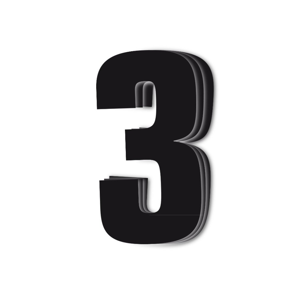 Dorsal 3 ( Pack de 3 Pcs PVC) Blackbird Racing Negro