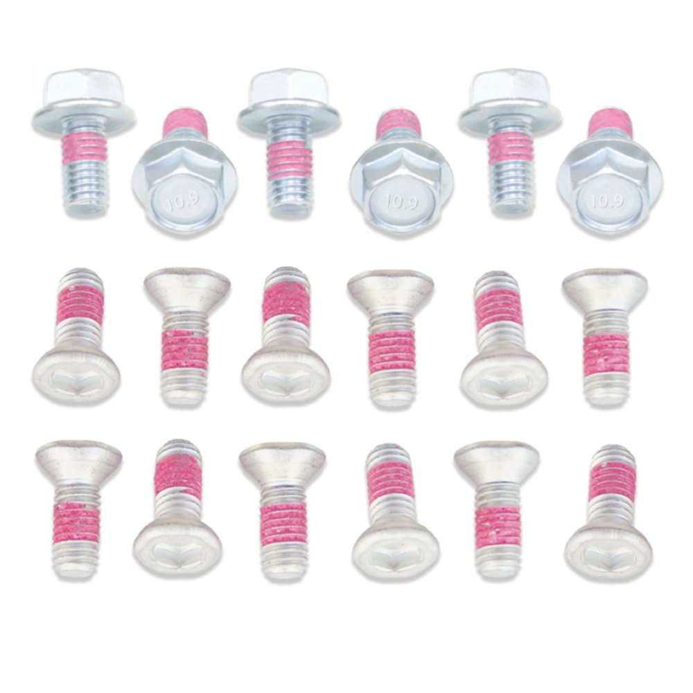 Tornillos Disco de Freno Yamaha (12 uds.)