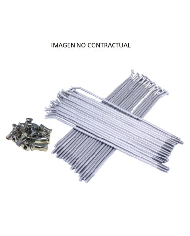 RADIOS RUEDA TRASERA GAS GAS  95-99  18"(36)