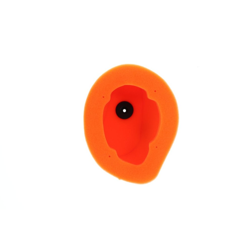 Filtro aire twin air TM EN 250/300 19-21