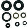 Kit retenes aceite motor Kawasaki KX 65 00-19