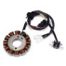 Stator Yamaha WR 250 F 04-09 / 11-14 (XQ-77)