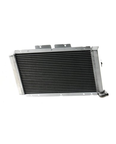 RADIADOR YAMAHA RHINO 450/660 04/08