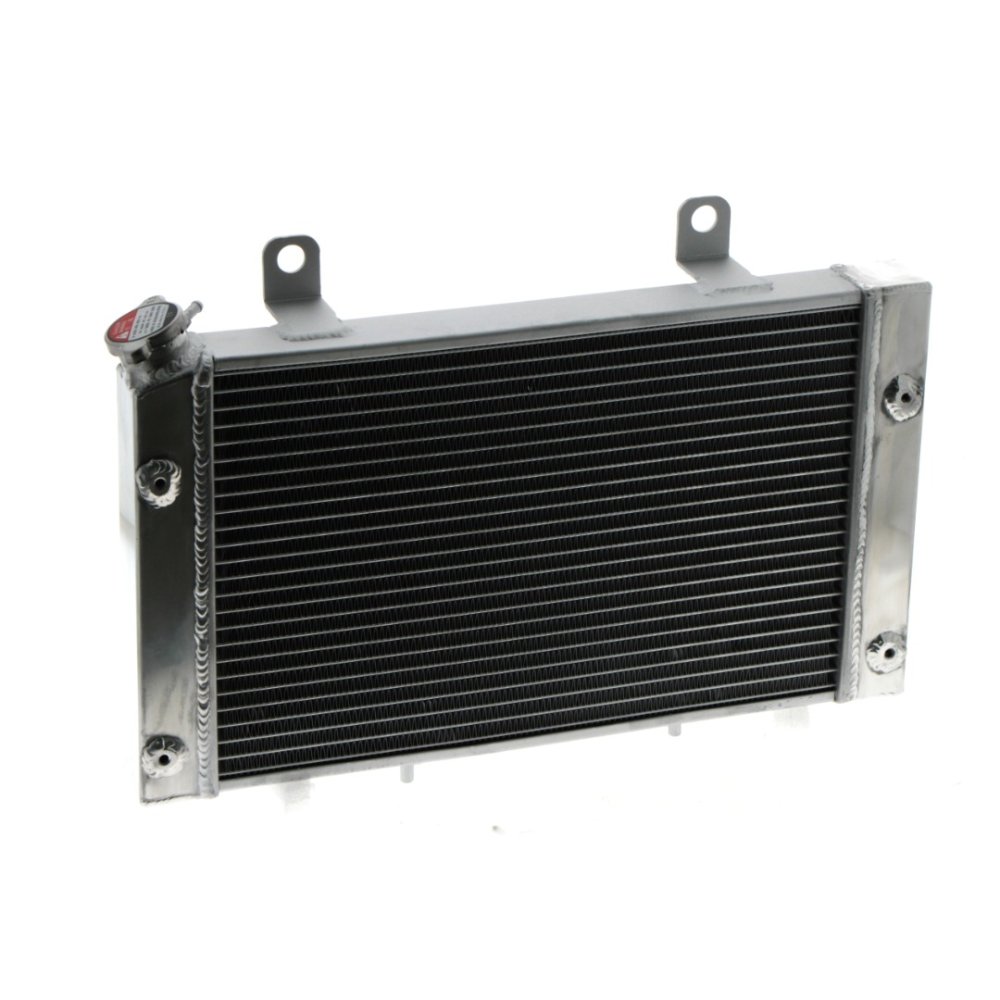 RADIADOR YAMAHA YXR 700 RHINO 08/13