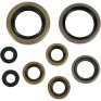 Kit retenes aceite motor KTM EXC-F 450/525 03-07