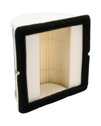 FILTRO DE AIRE HIFLOFILTRO HFA4909