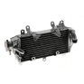 Radiador YAMAHA WR 250R 08-16 WR 250X 08-14