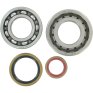 Kit rodamientos + retenes cigüeñal Hot Rods KTM 2T 04-22 / Husqvarna 2T 14/22