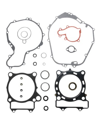 Kit completo de juntas y retenes de aceite Polaris Predator 03-04