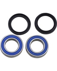 Kit reparación buje trasero Yamaha Raptor 350
