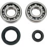 Kit de rodamientos y retenes cigueñal Honda CR 250 R 92-07