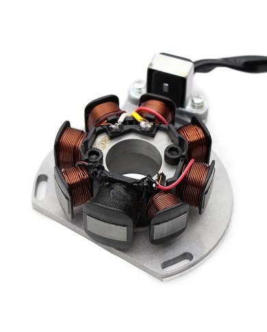 Encendido/Stator Gas Gas EC 250/300 05-08 Encendido/Stator Gas Gas EC 250/300 05-08