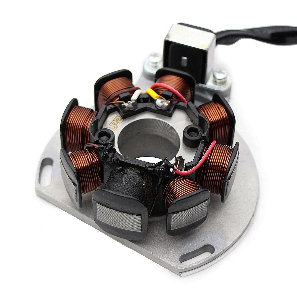 Encendido/Stator Gas Gas EC 250/300 05-08