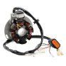 Encendido/Stator Gas Gas EC 250/300 05-08
