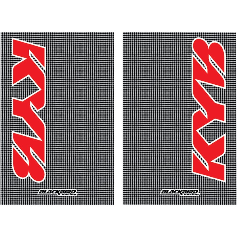 Adhesivo horquilla Carbon Kayaba Rojo\Blanco 2 PCS