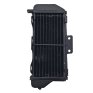 RADIADOR IZ(ST)YZF 250 06 WRF 250 07/13
