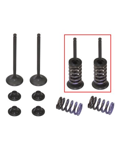 Kit válvulas completo escape con muelles Yamaha YZ 250 F 14-18