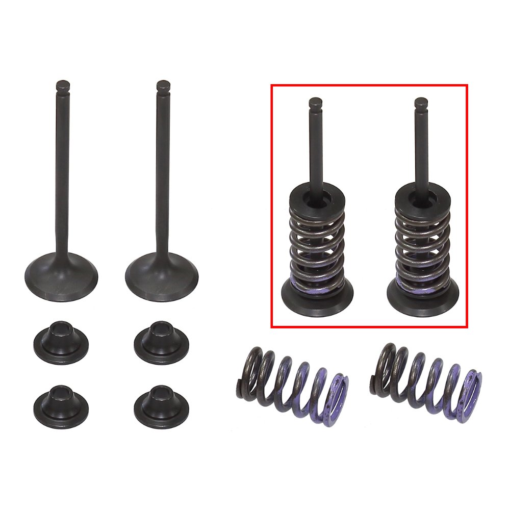 Kit válvulas completo escape con muelles Yamaha YZ 250 F 14-18