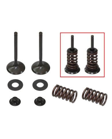 Kit válvulas completo escape con muelles Kawasaki KX 450 F 09-15
