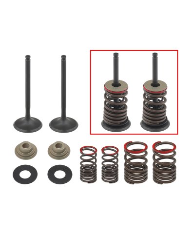 Kit válvulas completo escape con muelles Kawasaki KX 450 F 06-08