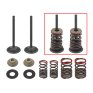 Kit válvulas completo escape con muelles Kawasaki KX 450 F 06-08