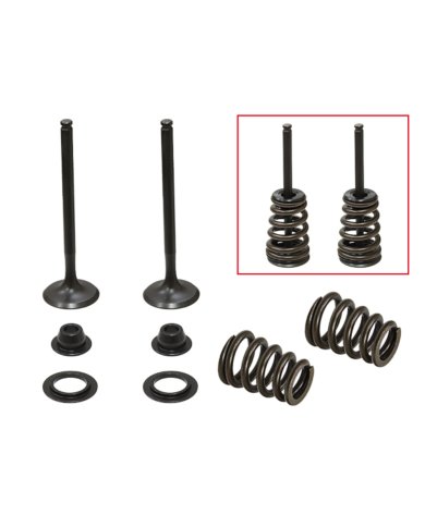 Kit Válvulas con muelles de escape Husqvarna/Ktm