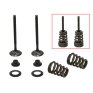 Kit Válvulas con muelles de escape Husqvarna/Ktm