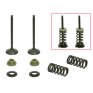 Kit válvulas completo escape con muelles Yamaha YZ 250 F 01-13/ Gas Gas