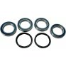 Kit de reparación de buje trasero Suzuki LTR 450 06-11