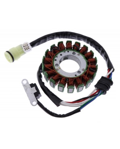 Estátor Dirtsoul Yamaha Raptor 660 01-05