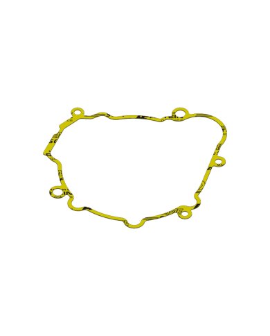 Junta tapa encendido XRadical Beta RR 250/300 13-25