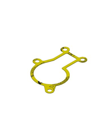 Junta bomba de agua XRadical Beta RR 250/300 13-25