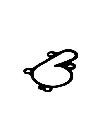 Junta bomba del agua XRadical Gas Gas EC 125 01-13