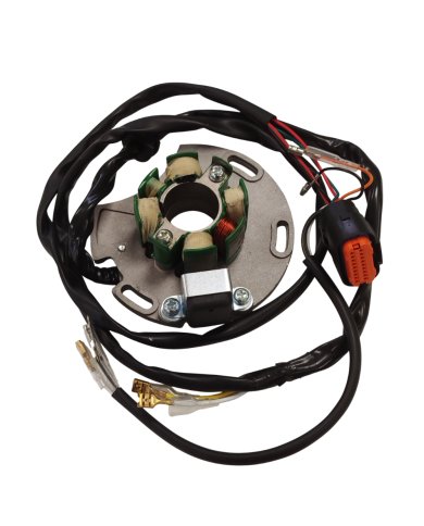 Estator Dirtsoul Gas Gas EC 125 05-13