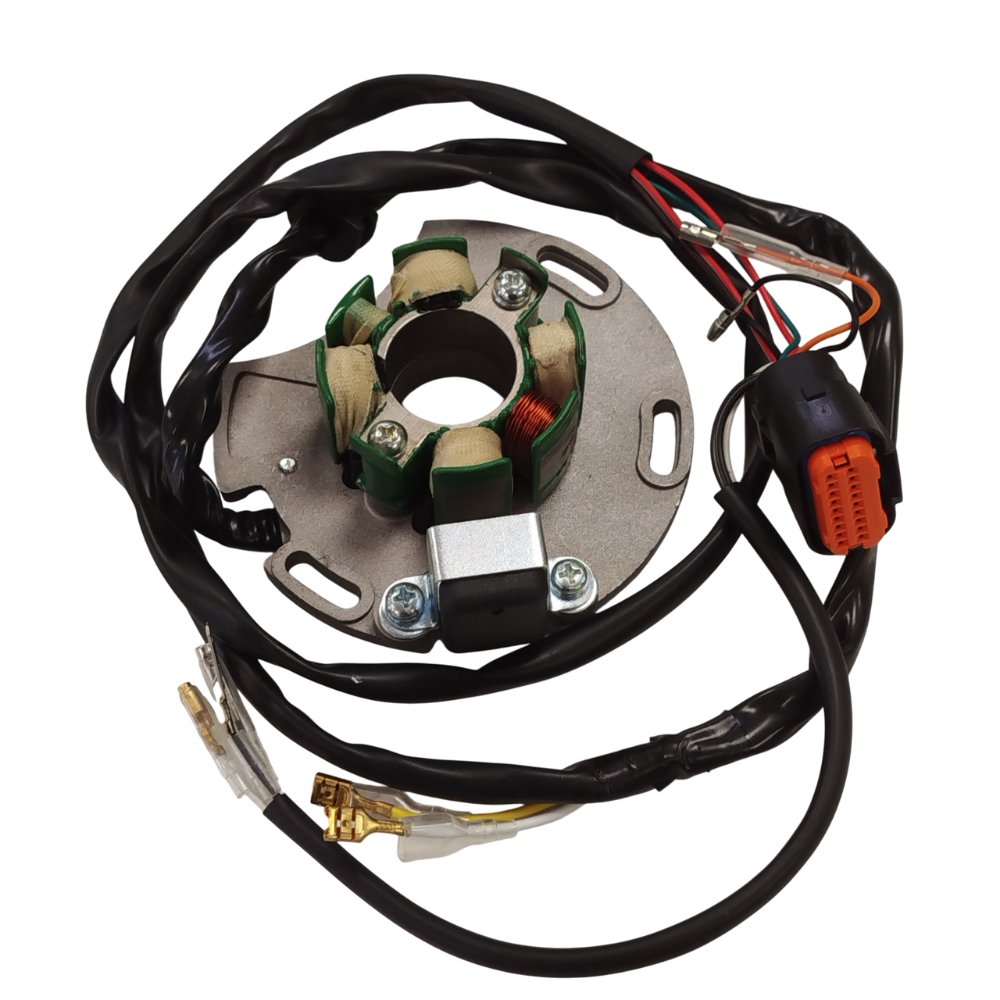 Estator Dirtsoul Gas Gas EC 125 05-13