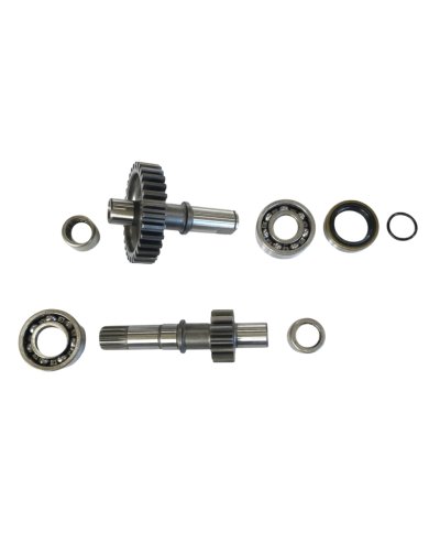 Kit de reparación de piñón de ataque KTM 50 SX 09-23 / Husqvarna TC 50 17-23 / Gas Gas MC 50 21-23 Kit de reparación de piñón de ataque KTM 50 SX 09-23 / Husqvarna TC 50 17-23 / Gas Gas MC 50 21-23