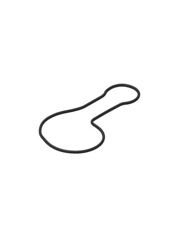 Junta bomba de agua Beta RR 250/300 13-21