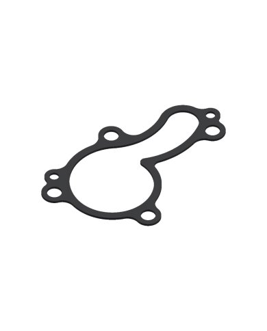 Junta tapa bomba de agua Kawasaki KX 450 F 06-15